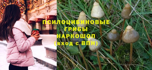 гидра Алексин